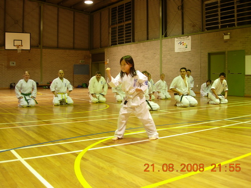 picture - Sanbon Kata II.jpg